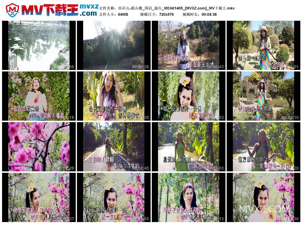 田芯儿-甜山歌_国语_流行_MEA01405